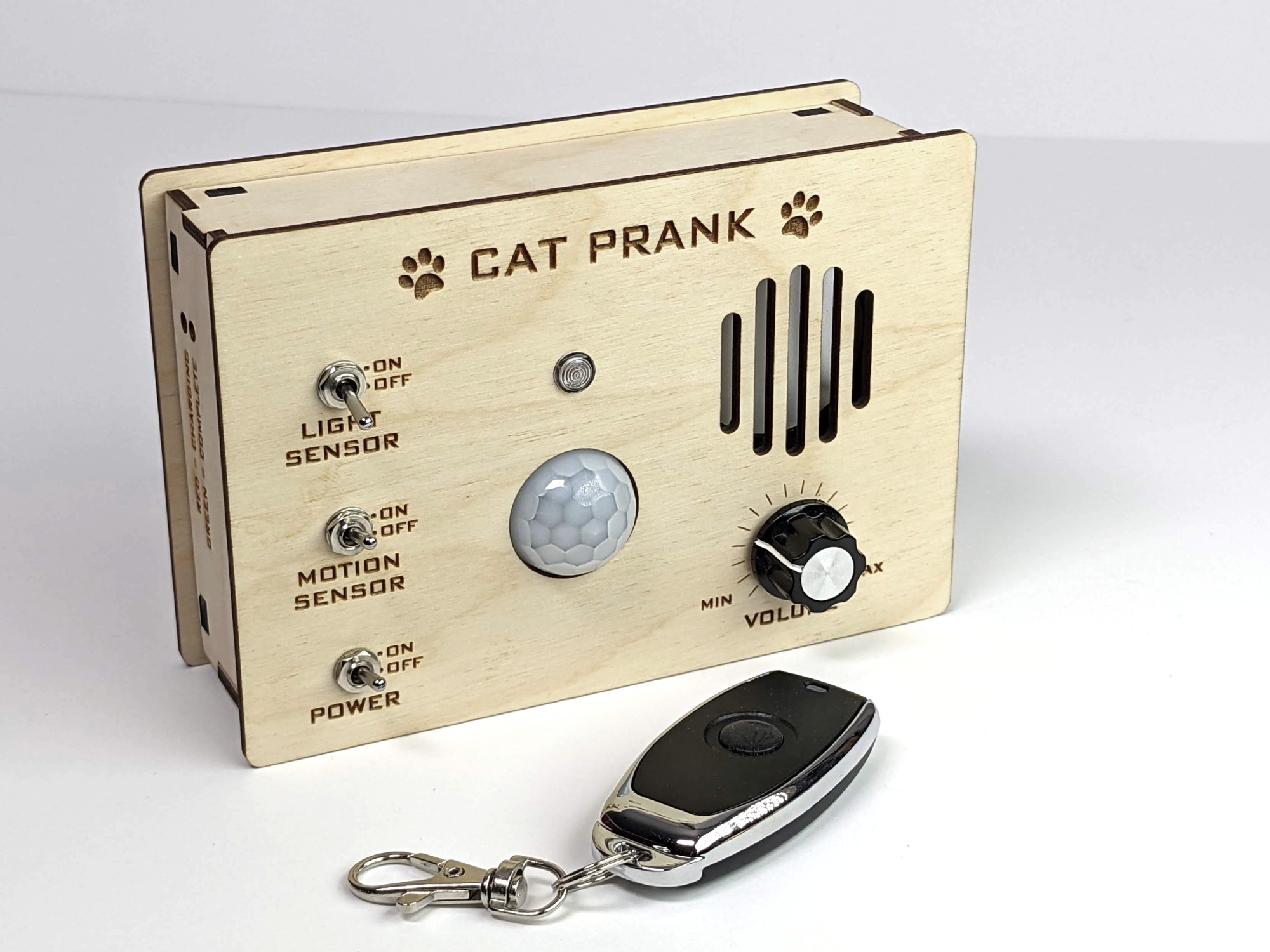 cat prank front with remote